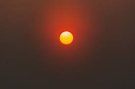 Terra